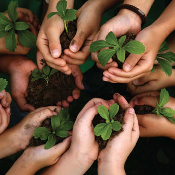 Usina da Dança propõe reflexão sobre o Meio Ambiente