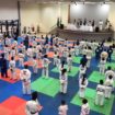 Judocas do Projeto Branco Zanol participam do treinamento de verão realizado no GREC
