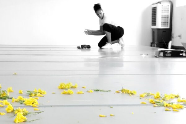 Cia. da Dança - Fotos